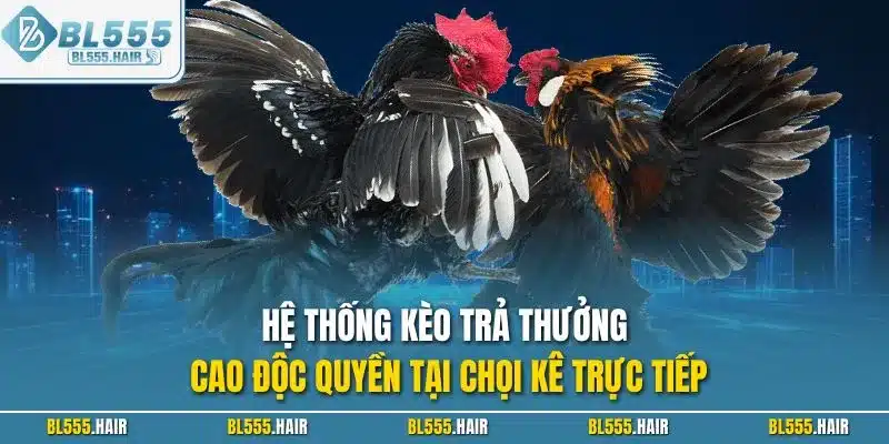 Hệ thống kèo trả thưởng cao độc quyền tại chọi kê trực tiếp