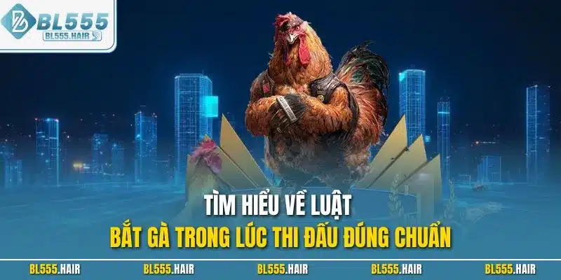 Tìm hiểu về luật bắt gà trong lúc thi đấu đúng chuẩn