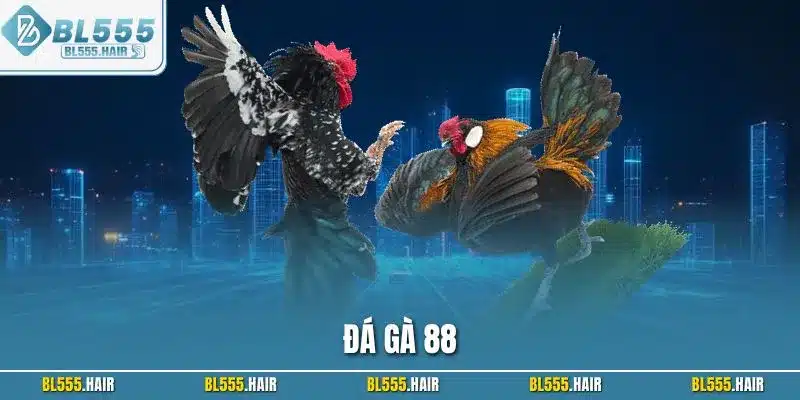 Đá gà 88